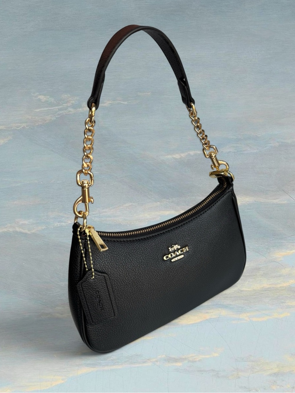 Coach Teri Pebble Leather Gold/Black